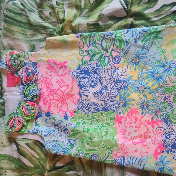 Size 5 Cheek To Cheek shift - Picture 2 of 2